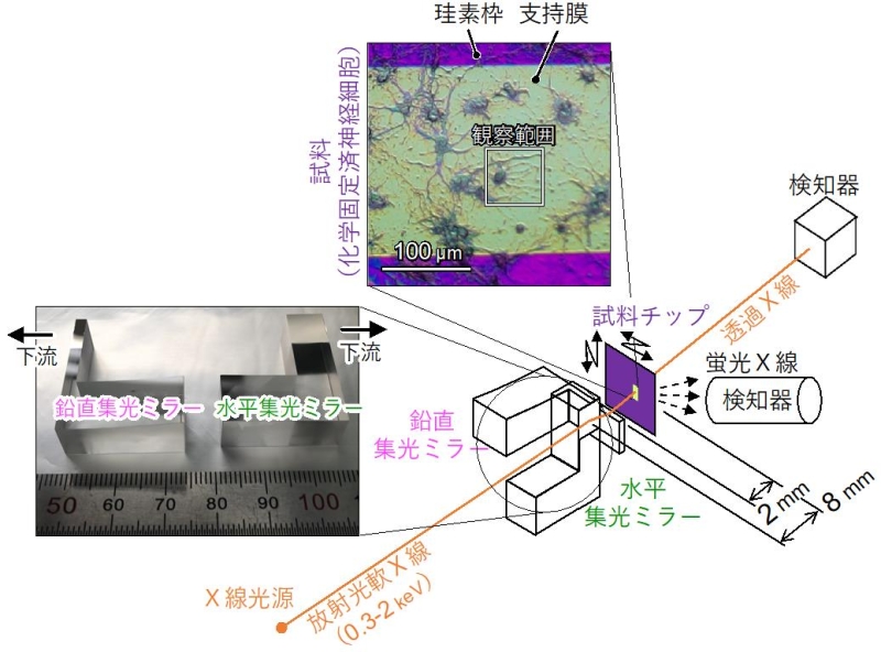 超精密小型集光ミラーを用いた集光ミラー光学系の模式図