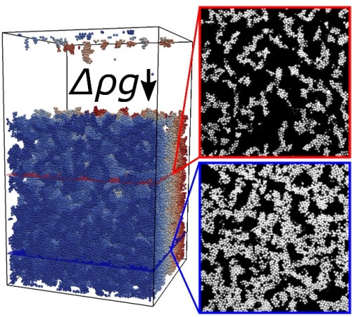 圧縮変形下での粒子ネットワークの普遍的物質状態を発見