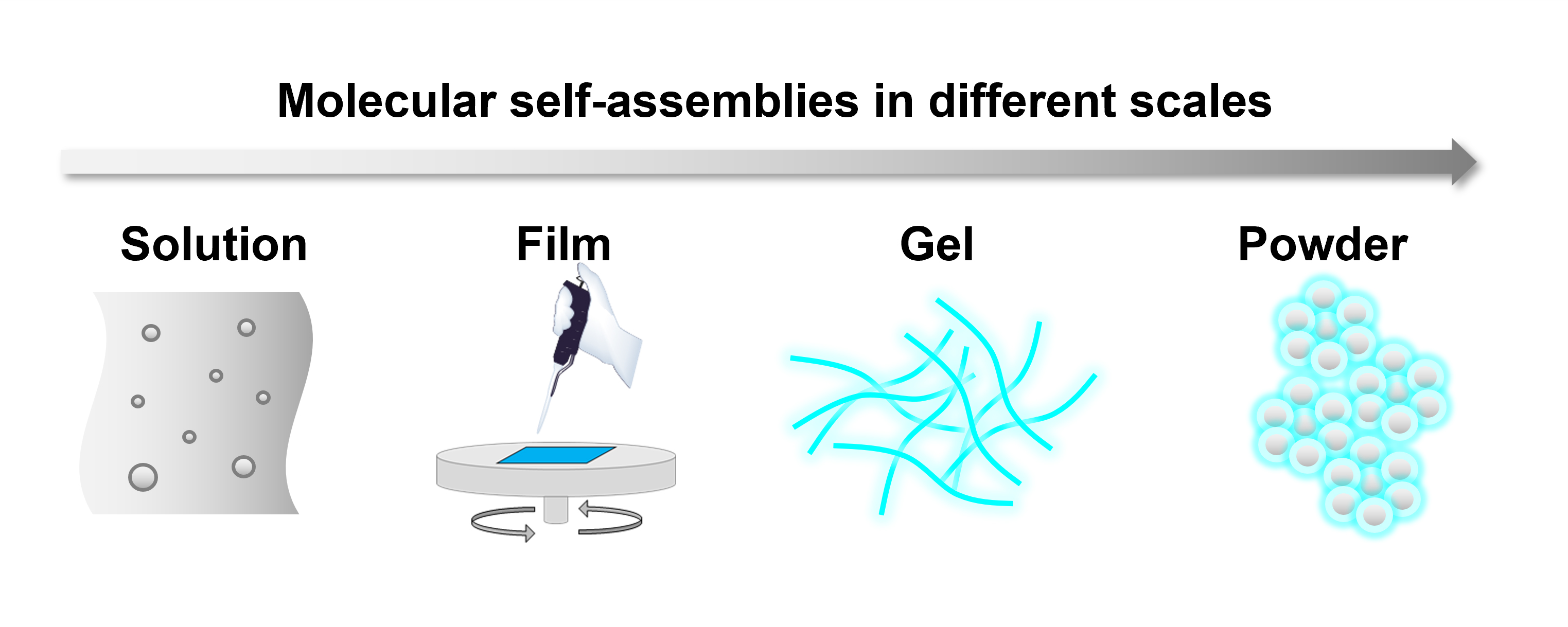 Conceptual illustration of functional molecular self-assemblies at different scales.