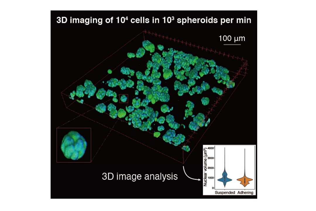 High throughput and high-dimensional cytometry