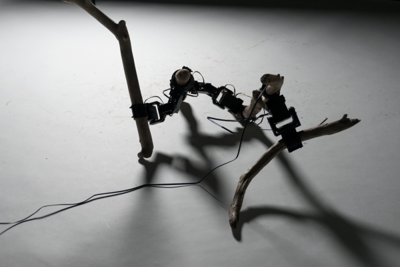 その場にある自然物を用いたロボットの構成手法