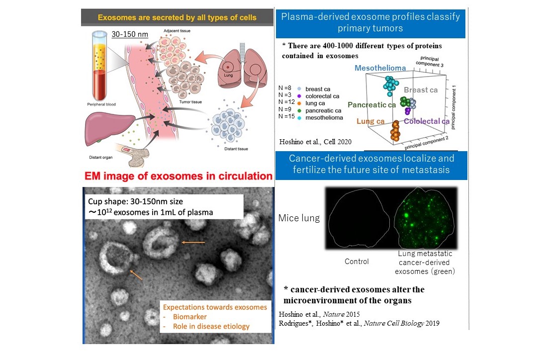 Exosome in disease etiology and detection