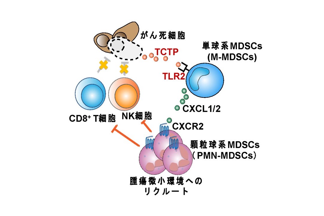 fig.1