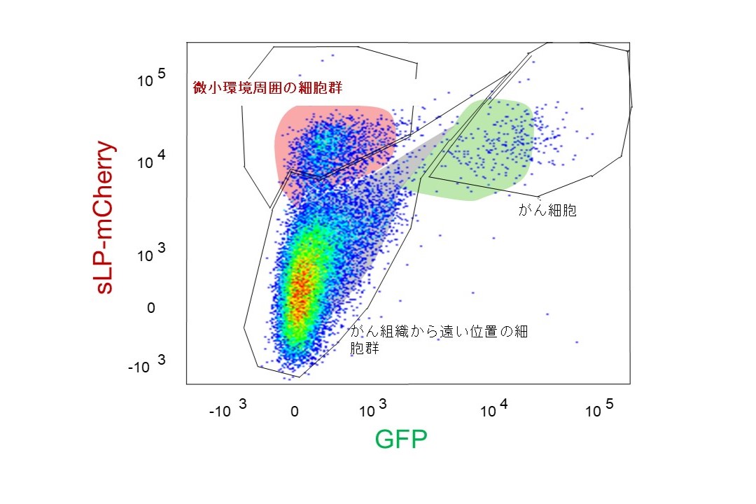 fig.2