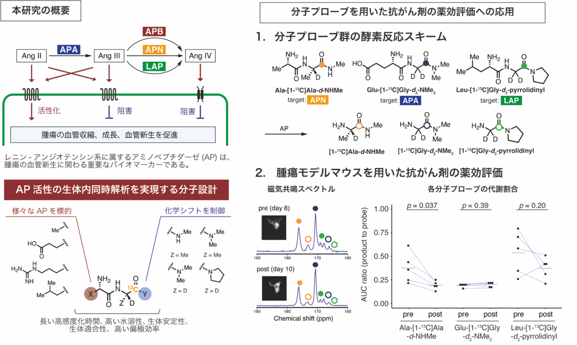 図1：本発表の概要