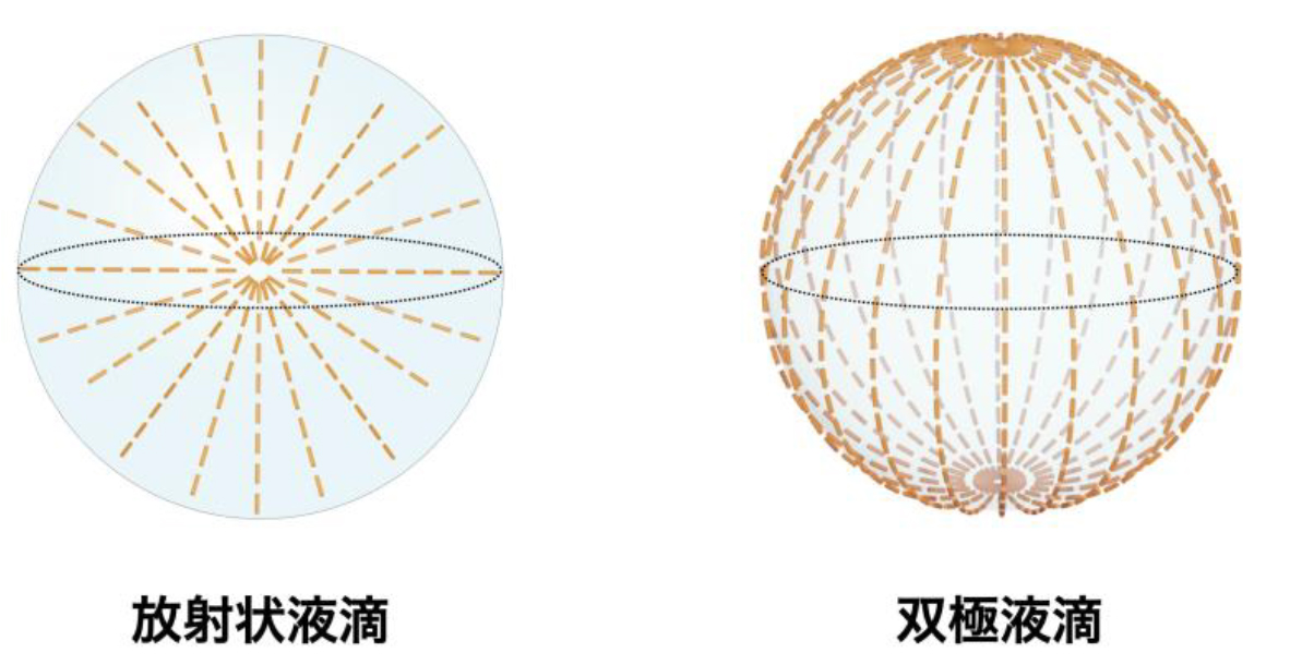 図1