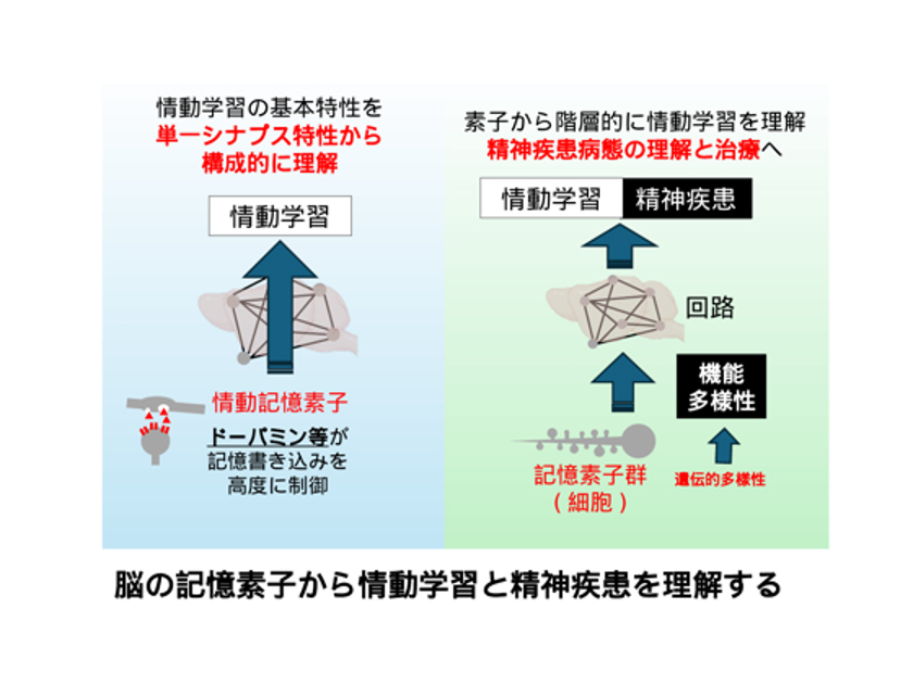 研究概要図　図1