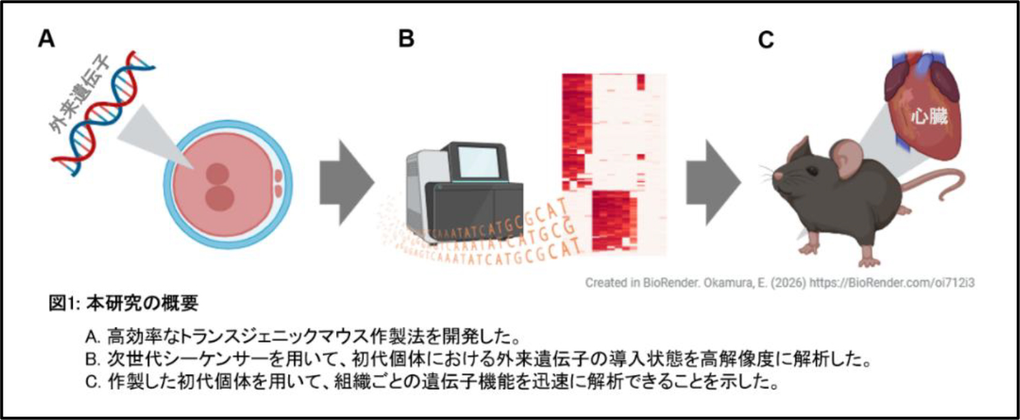 図1