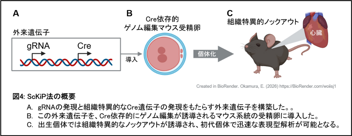図4