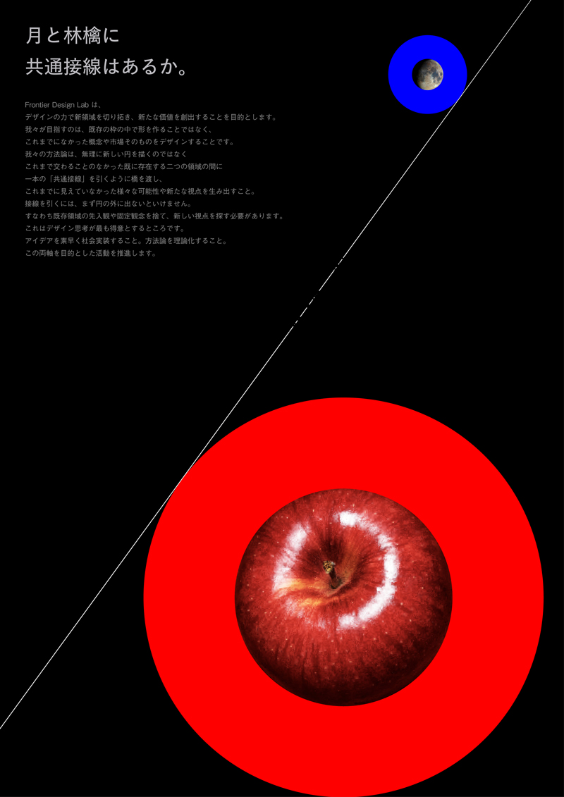 Poster “Can the Moon and an Apple Share a Common Tangent?
