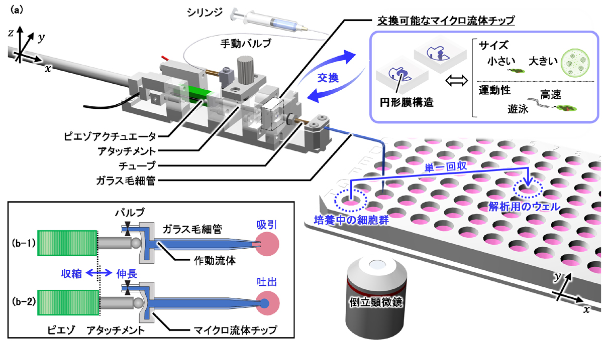 (図1)交換可能なマイクロ流体チップを搭載したマイクロピペットのコンセプト図。