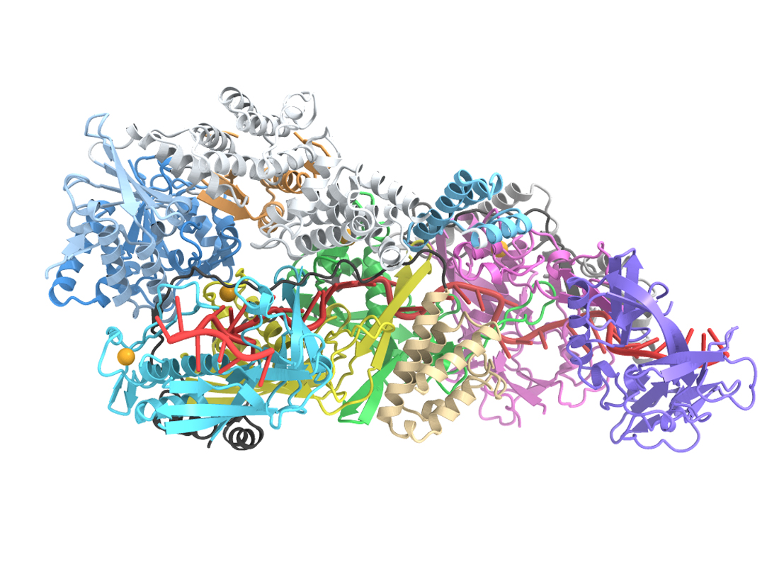 Cryo-EM structure of IS621 bridge recombinase